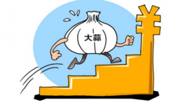 怎樣利用大蒜冷庫進(jìn)行保鮮？